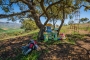 Los más pequeños pueden divertirse al aire libre 